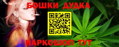 крисы Обь