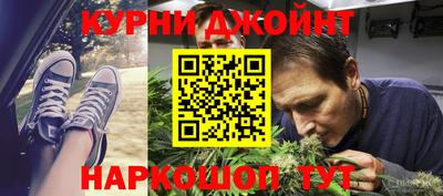 крисы Обь