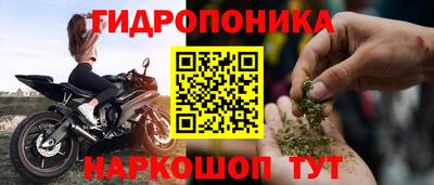 крисы Обь