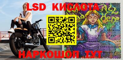 стаф Пенза