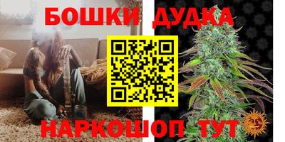 крисы Обь