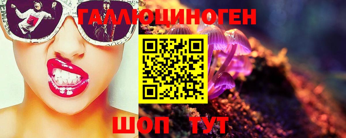 продажа наркотиков  Псилоцибиновые грибы ЛСД  Вход с VPN  Псилоцибиновые грибы Psilocybine cubensis  Похвистнево 