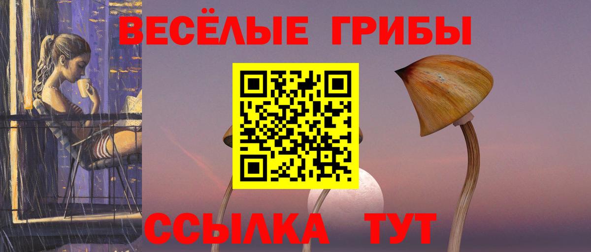 Псилоцибиновые грибы мицелий Похвистнево